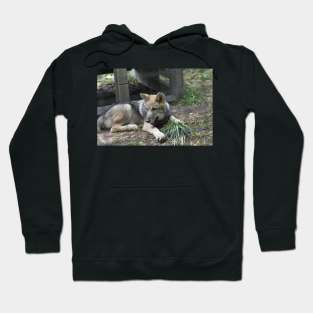 Wolf Puppy Hoodie